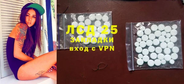 индика Богородицк