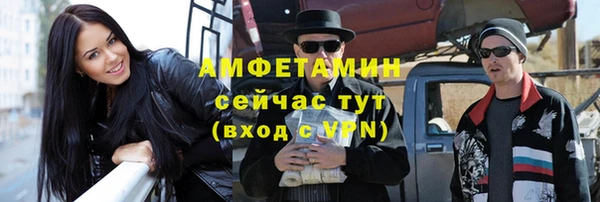 индика Богородицк