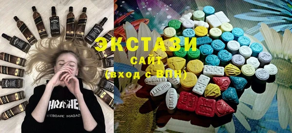 индика Богородицк