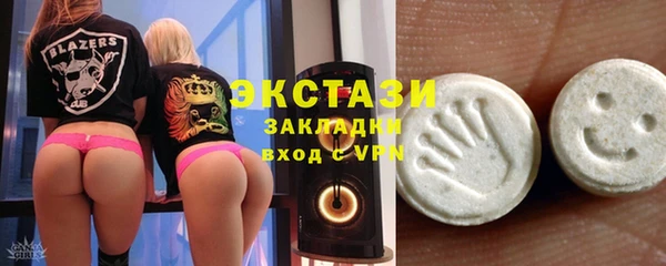 индика Богородицк