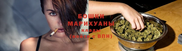 прущие грибы Нефтегорск