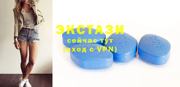 индика Богородицк