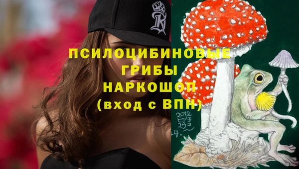 кокаин Богданович