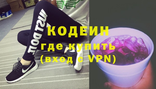 крисы Бородино