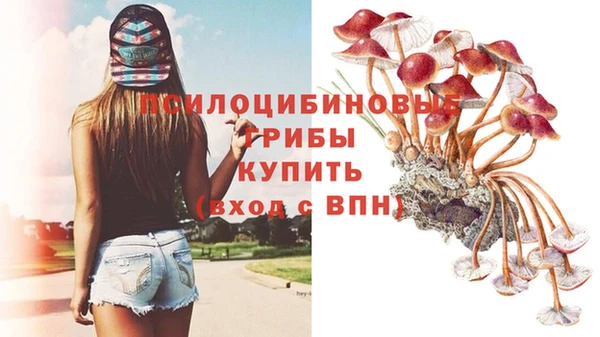 ALPHA-PVP Нефтекумск