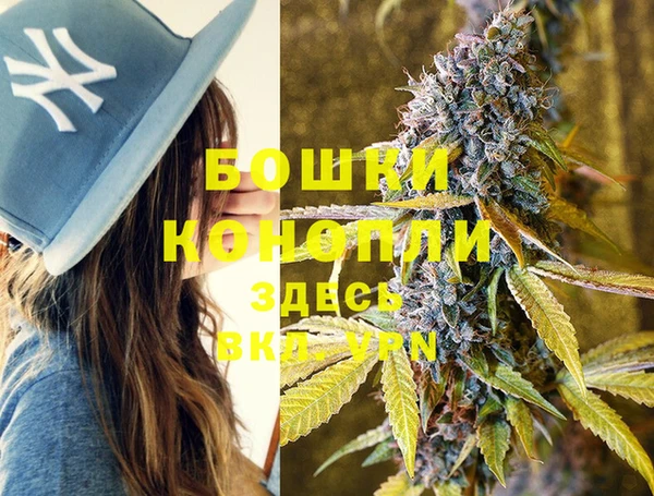 индика Богородицк