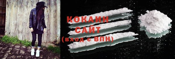 индика Богородицк