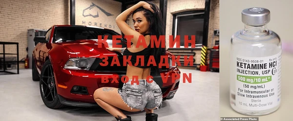 индика Богородицк