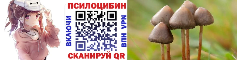 Галлюциногенные грибы прущие грибы  Купить где  Усинск 
